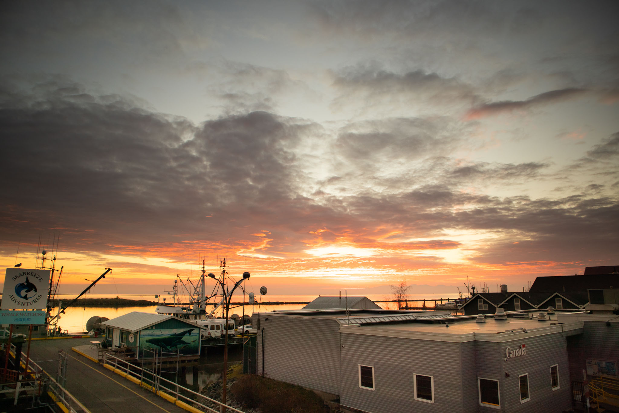 16mm, 1/200, f3.5, iso100 (jan14/25) | canon eos m50